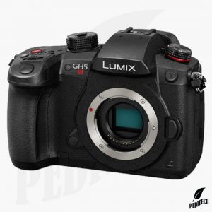 Panasonic Lumix GH5S-peditech